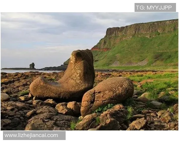 智利足球明星崛起之路:从小球场到国际赛场的传奇故事 智利足球明星崛起之路:从小球场到国际赛场的传奇故事